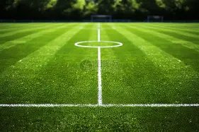 戴琳离世球,迷家属倾家,荡产偿债,开元体育会员登录入口,开元棋牌官网,开元体育