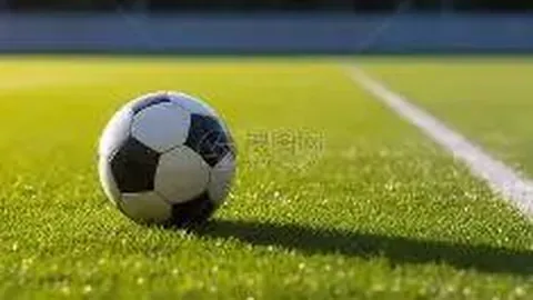 中美网公开赛女子双打名单揭晓 中国网球双姝力争冠军